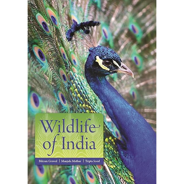 洋書　Indian new Edition India: From Midnight to the Millennium and Beyond: Tharoor